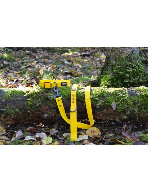 Guinzaglio e collare per cani impermeabili Rukka, nel bosco