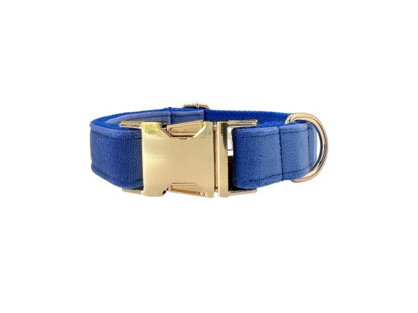 Collare per cani Velvet Blu