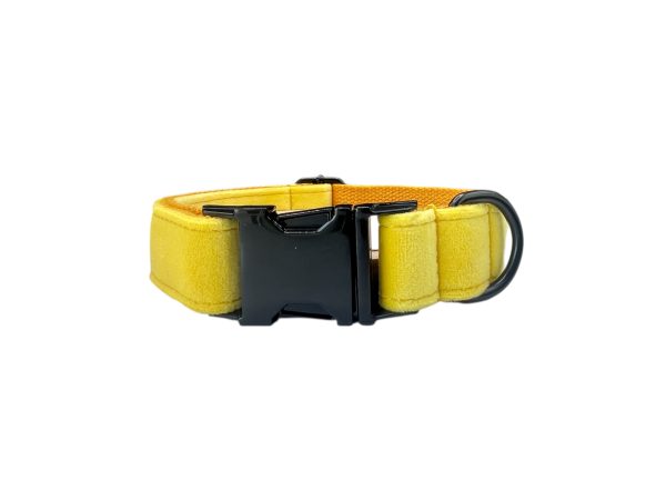Collare per cani Velvet Giallo