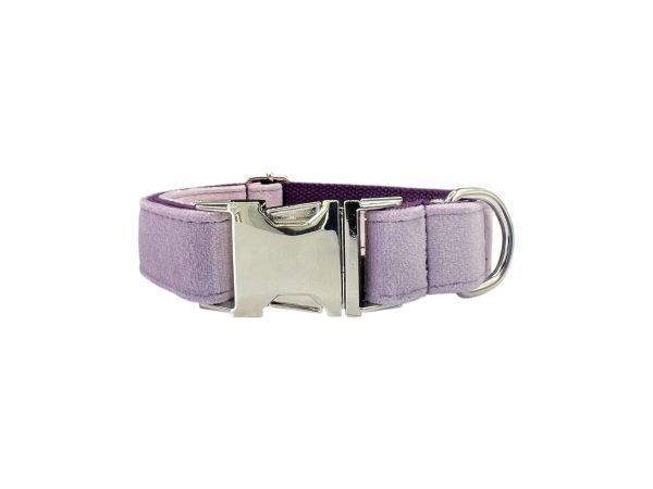 Collare per cani Velvet Lilla