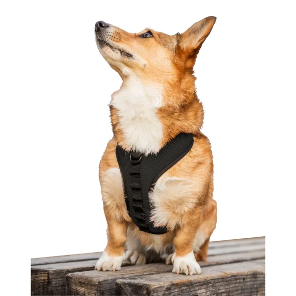 Cane che indossa Pettorina per cani K9 di colore nero