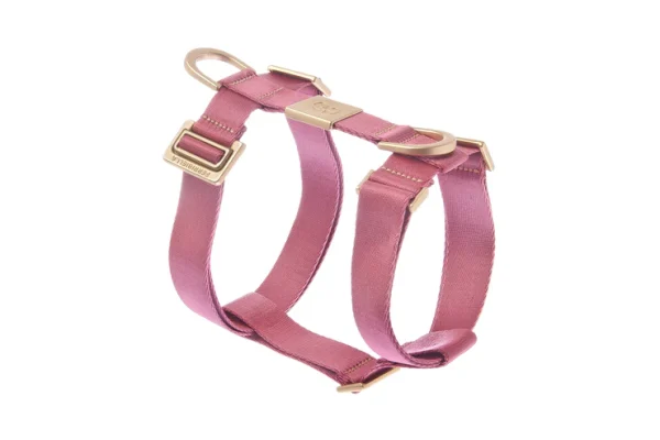 Pettorina per cani MIDA corallo