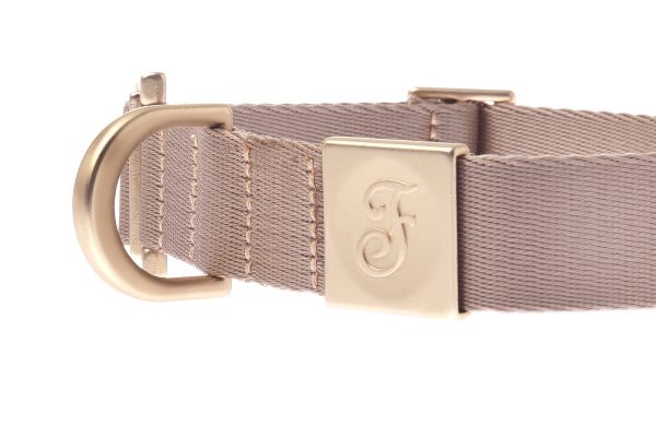collare per cani mida Beige, finiture in zamak