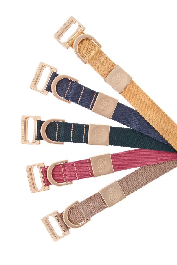 colorazioni disponibili per collari per cani Mida