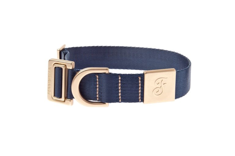 collare per cani mida Blu con inserto in zamak e chiusura senza ganci