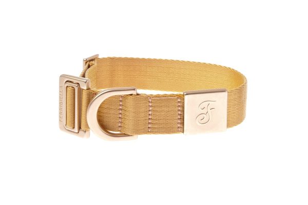 collare per cani mida Oro con inserto in zamak e chiusura senza ganci