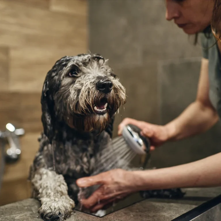 prodotti per la CURA E BENESSERE del tuo cane